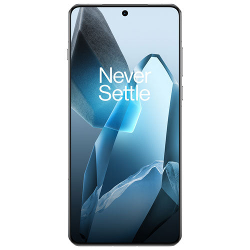 OnePlus 13